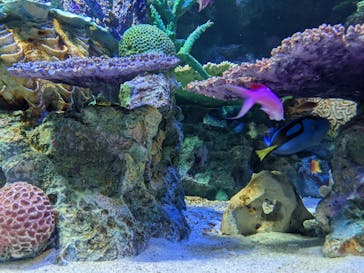 サンシャイン水族館に投稿された画像（2022/2/12）