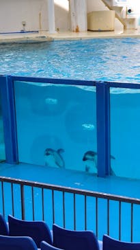 伊豆・三津シーパラダイスに投稿された画像（2022/2/12）