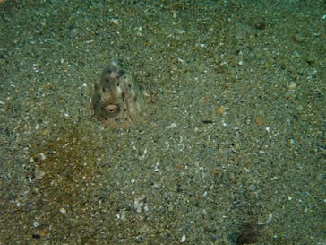 LOVE&BLUE（ラブアンドブルー）に投稿された画像（2022/2/12）