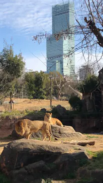 天王寺動物園に投稿された画像（2022/2/12）