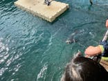 伊豆・三津シーパラダイスに投稿された画像（2022/2/12）