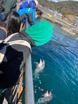 伊豆・三津シーパラダイスに投稿された画像（2022/2/12）