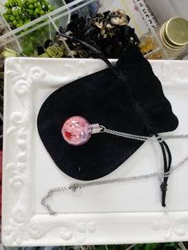 ずこうしつ〜sugamo〜に投稿された画像（2022/2/12）