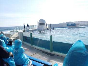 鴨川シーワールドに投稿された画像（2022/2/12）