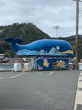 伊根湾めぐり遊覧船に投稿された画像（2022/2/12）