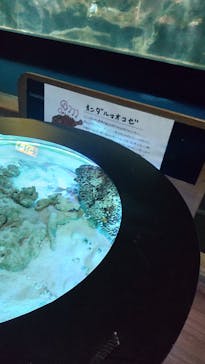 ゼロ距離水族館 伊勢シーパラダイスに投稿された画像（2022/2/12）