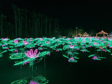 美らヤシパークオキナワ・東南植物楽園に投稿された画像（2022/2/12）