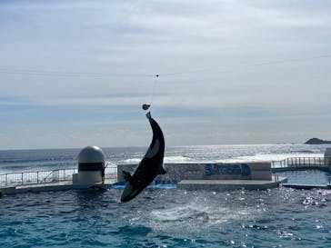 鴨川シーワールドに投稿された画像（2022/2/12）