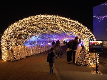 東京メガイルミに投稿された画像（2022/2/12）