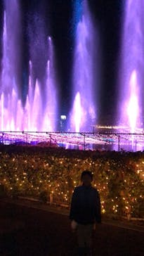 東京メガイルミに投稿された画像（2022/2/12）