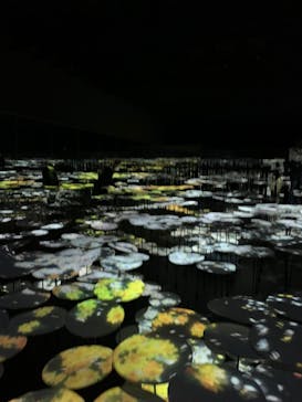 森ビル デジタルアート ミュージアム：エプソン チームラボボーダレスに投稿された画像（2022/2/12）