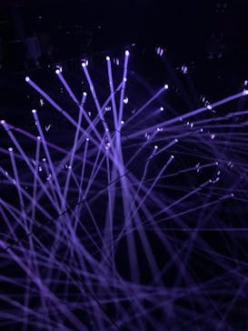 森ビル デジタルアート ミュージアム：エプソン チームラボボーダレスに投稿された画像（2022/2/12）