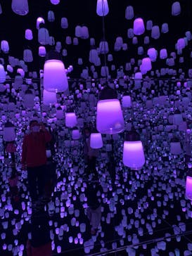 森ビル デジタルアート ミュージアム：エプソン チームラボボーダレスに投稿された画像（2022/2/12）