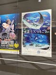 サンシャイン水族館に投稿された画像（2022/2/12）