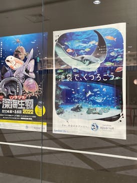 サンシャイン水族館に投稿された画像（2022/2/12）