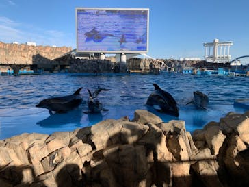 名古屋港水族館に投稿された画像（2022/2/12）