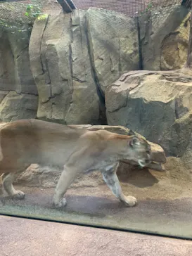 神戸どうぶつ王国に投稿された画像（2022/2/12）