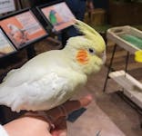 Moff animal world MARK IS みなとみらい店に投稿された画像（2022/2/12）