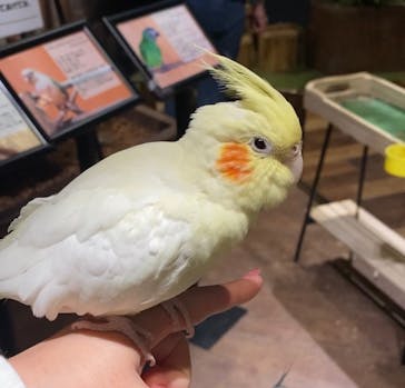 Moff animal world MARK IS みなとみらい店に投稿された画像（2022/2/12）