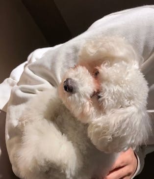 Moff animal world MARK IS みなとみらい店に投稿された画像（2022/2/12）