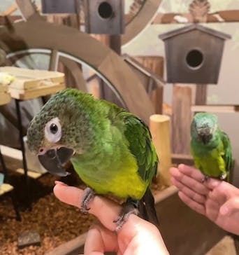 Moff animal world MARK IS みなとみらい店に投稿された画像（2022/2/12）