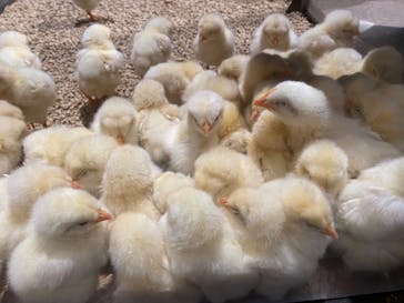 Moff animal world MARK IS みなとみらい店に投稿された画像（2022/2/12）