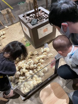 Moff animal world MARK IS みなとみらい店に投稿された画像（2022/2/12）