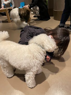 Moff animal world MARK IS みなとみらい店に投稿された画像（2022/2/12）