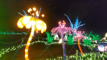 東武動物公園に投稿された画像（2022/2/12）