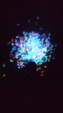 森ビル デジタルアート ミュージアム：エプソン チームラボボーダレスに投稿された画像（2022/2/12）