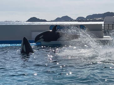 鴨川シーワールドに投稿された画像（2022/2/12）