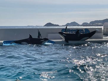 鴨川シーワールドに投稿された画像（2022/2/12）