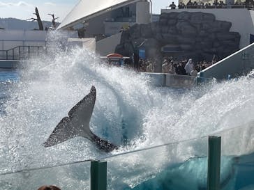 鴨川シーワールドに投稿された画像（2022/2/12）