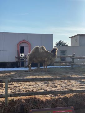 東武動物公園に投稿された画像（2022/2/13）