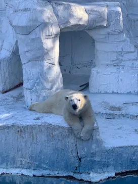 天王寺動物園に投稿された画像（2022/2/13）
