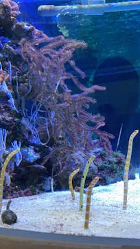 名古屋港水族館に投稿された画像（2022/2/13）