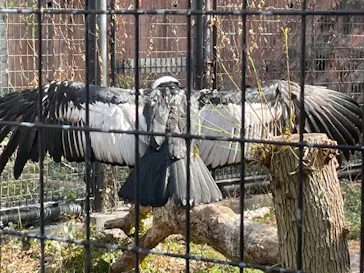 天王寺動物園に投稿された画像（2022/2/13）