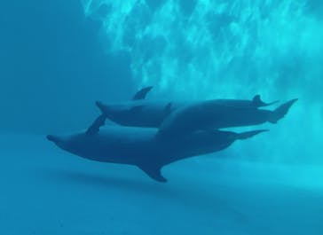 名古屋港水族館に投稿された画像（2022/2/13）