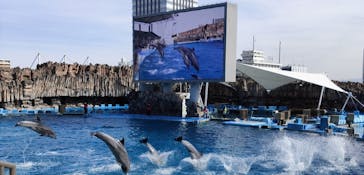名古屋港水族館に投稿された画像（2022/2/13）
