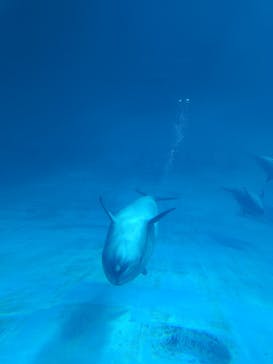 名古屋港水族館に投稿された画像（2022/2/13）
