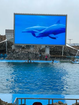 名古屋港水族館に投稿された画像（2022/2/13）