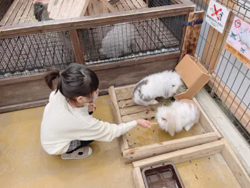 神戸どうぶつ王国に投稿された画像（2022/2/13）