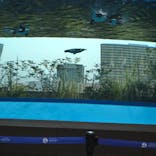 サンシャイン水族館に投稿された画像（2022/2/13）