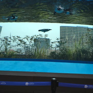 サンシャイン水族館に投稿された画像（2022/2/13）