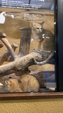 ネオパークオキナワに投稿された画像（2022/2/13）