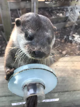 横浜・八景島シーパラダイスに投稿された画像（2022/2/13）