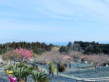 伊豆ぐらんぱる公園に投稿された画像（2022/2/13）