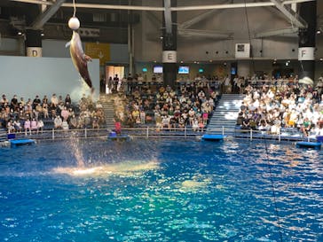 マクセル アクアパーク品川に投稿された画像（2022/2/13）