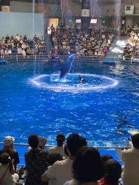 マクセル アクアパーク品川に投稿された画像（2022/2/13）