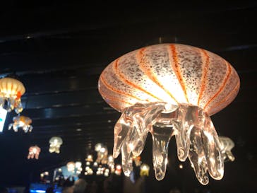 京都水族館に投稿された画像（2022/2/13）